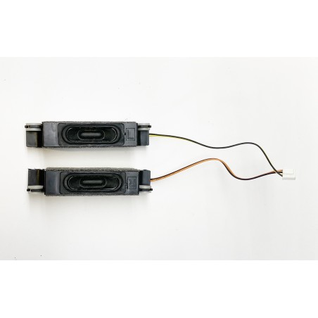 Pareja altavoces TV Samsung T24D391EW