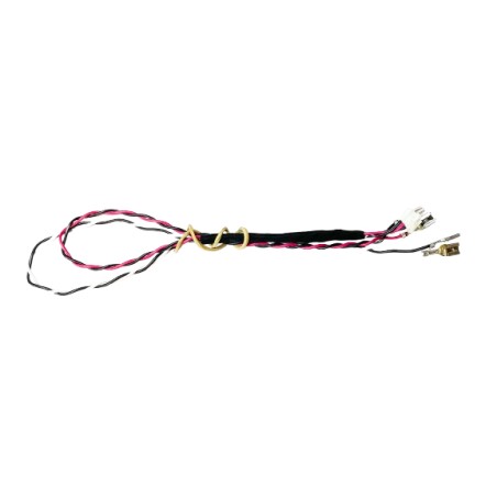 Cable Conexión Altavoces con Main TV Philips 32PFL3088H/12