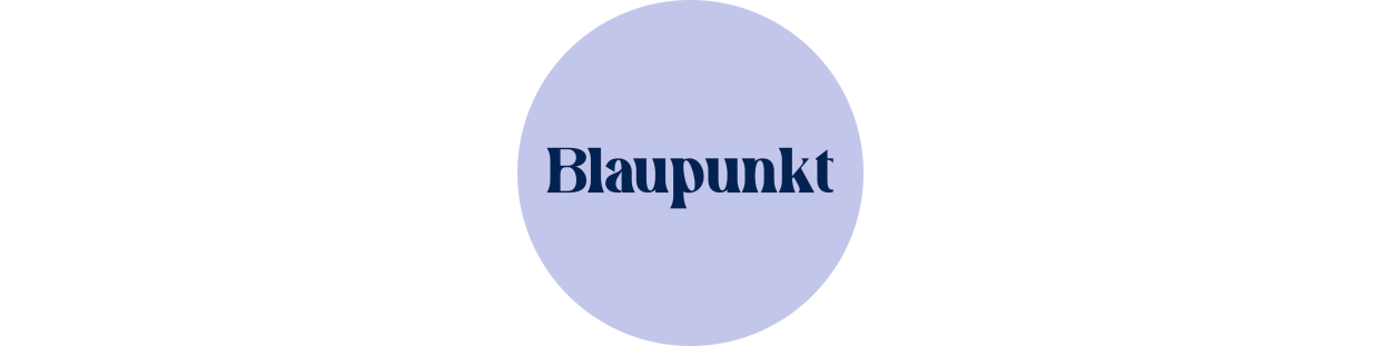 Componentes, piezas recuperadas para televisores de la marca Blaupunkt, revisadas y garantizadas.