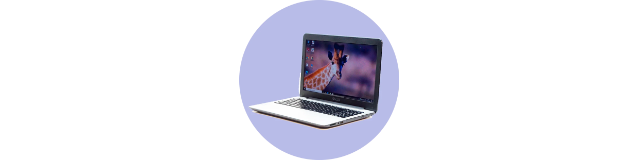 Componentes recuperados para Portátil / Laptop Asus F555L, revisados y garantizados.