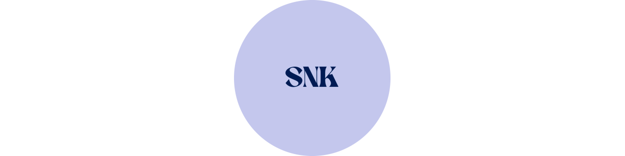 Componentes y piezas recuperadas para consolas SNK, revisadas y garantizadas