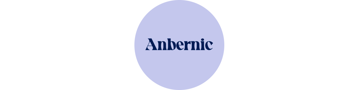 Componentes y piezas recuperadas para consolas Anbernic, revisados y garantizados