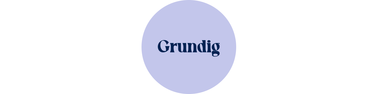 Componentes recuperados para televisores de la marca Grundig, revisados y garantizados.