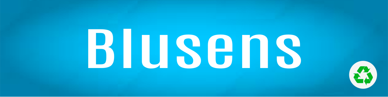 Componentes, repuestos, piezas recuperadas para Televisores (TV) de la marca Blusens.