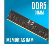 DDR5 DIMM