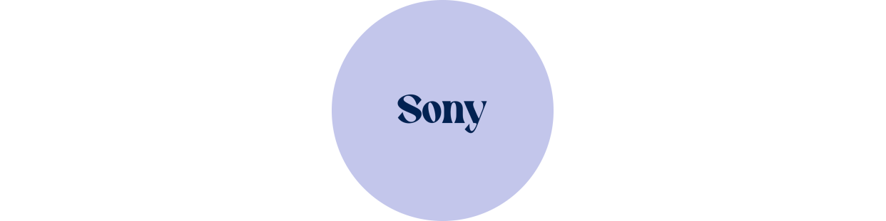 Componentes recuperados para televisores de la marca Sony, revisados y garantizados.