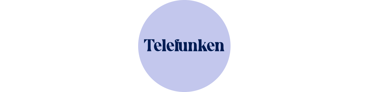 Componentes recuperados para televisores de la marca Telefunken, revisados y garantizados.