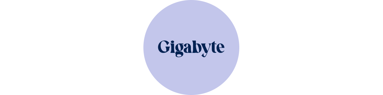 Componentes recuperados para Ordenadores portátiles de la marca Gigabyte, revisados y garantizados.