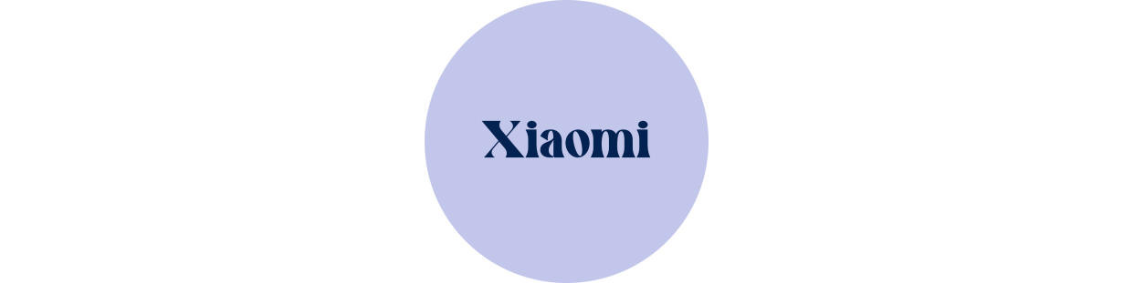 Componentes recuperados para Ordenadores portátiles de la marca Xiaomi, revisados y garantizados.