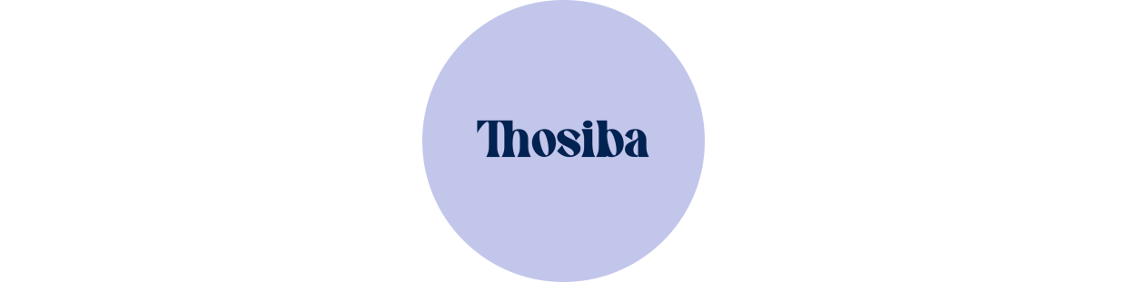 Componentes recuperados para Ordenadores de sobremesa (PCs) de la marca Toshiba, revisados y garantizados.