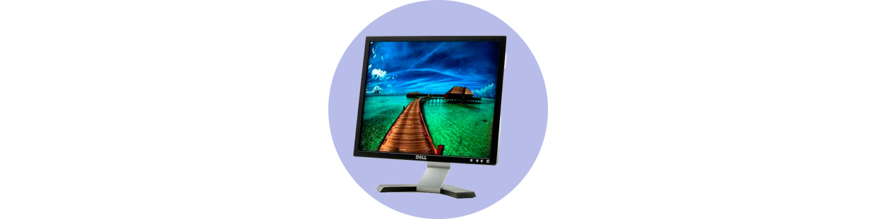 Componentes recuperados para monitor de ordenador de la marca DELL modelo E197FP.