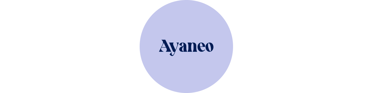 Componentes recuperados para consolas Ayaneo, revisados y garantizados