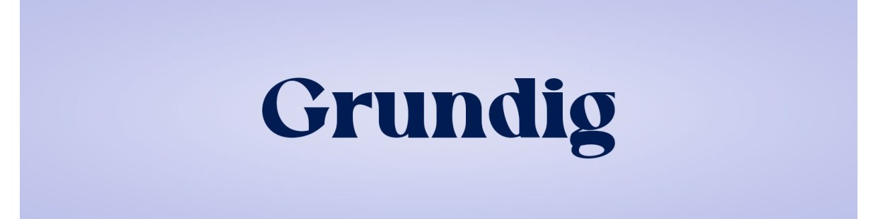 Componentes recuperados para televisores de la marca Grundig, revisados y garantizados.