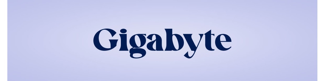 Componentes recuperados para Ordenadores portátiles de la marca Gigabyte, revisados y garantizados.