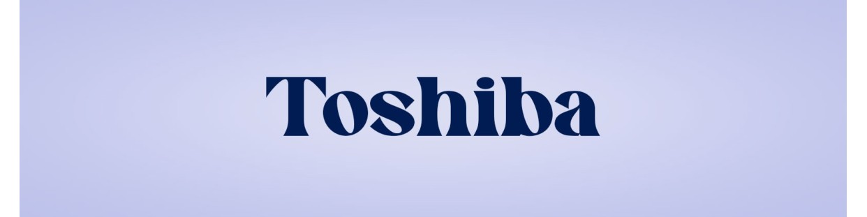 Componentes recuperados para Ordenadores de sobremesa (PCs) de la marca Toshiba, revisados y garantizados.